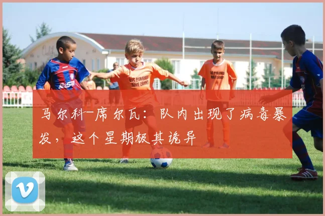马尔科-席尔瓦：队内出现了病毒暴发，这个星期极其诡异